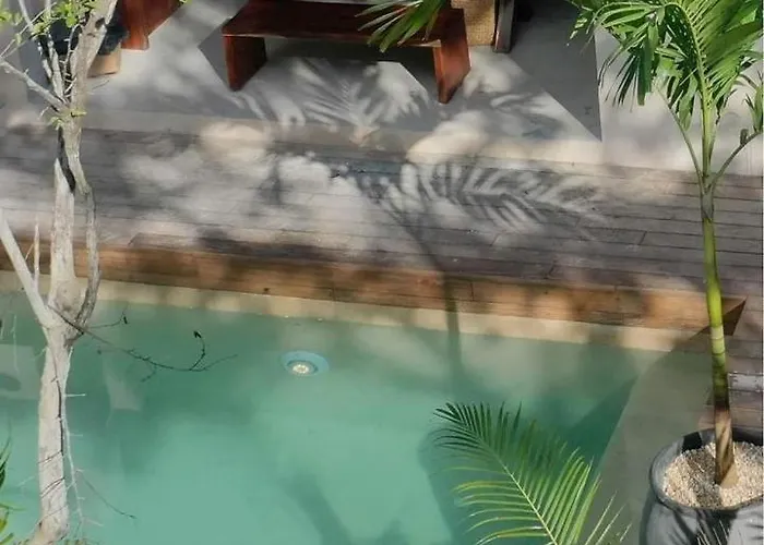 Xuncari En El Corazón De La Selva Tulum